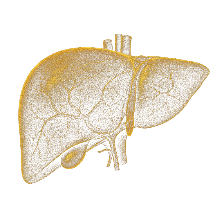 Original gold hepatic artwork
