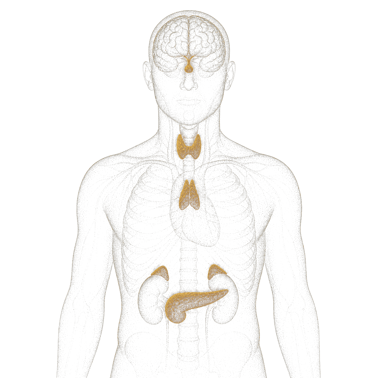 Original gold hormonal artwork