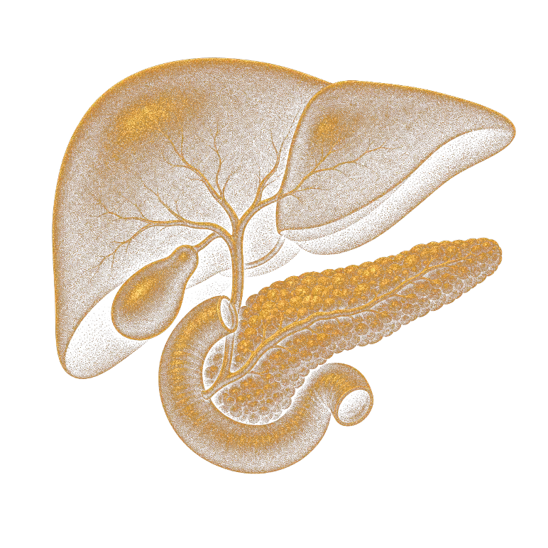 Original gold metabolic artwork